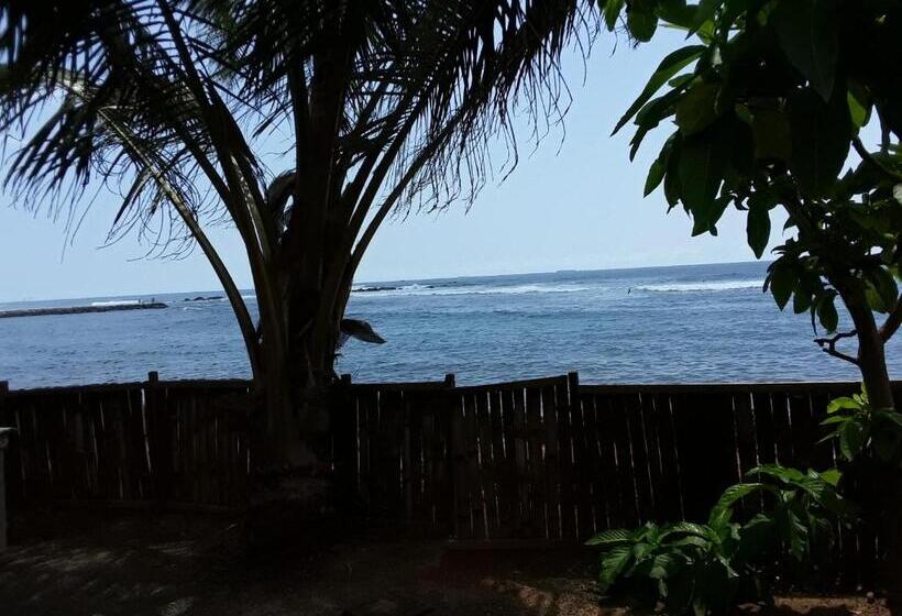 פנסיון Seaside View