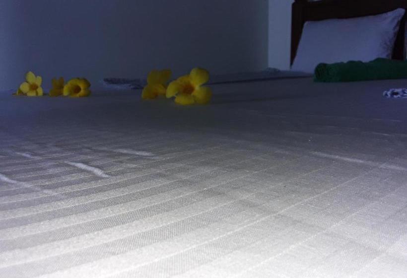 פנסיון Seaside View