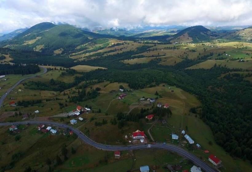 膳宿费 Vila Zenyt