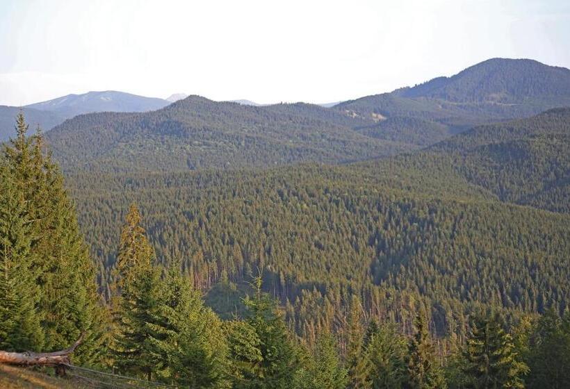 膳宿费 Vila Zenyt