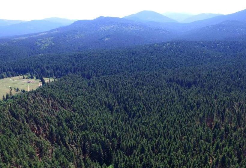 膳宿费 Vila Zenyt