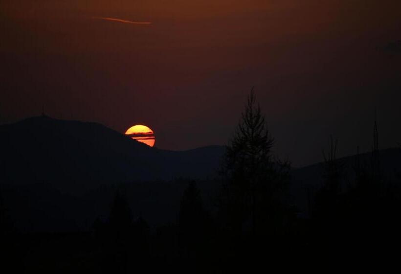 膳宿费 Vila Zenyt