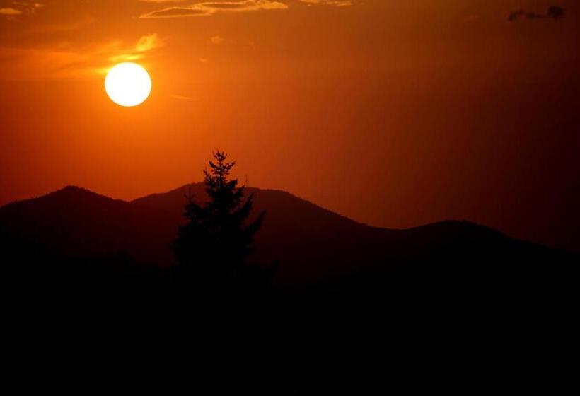 膳宿费 Vila Zenyt