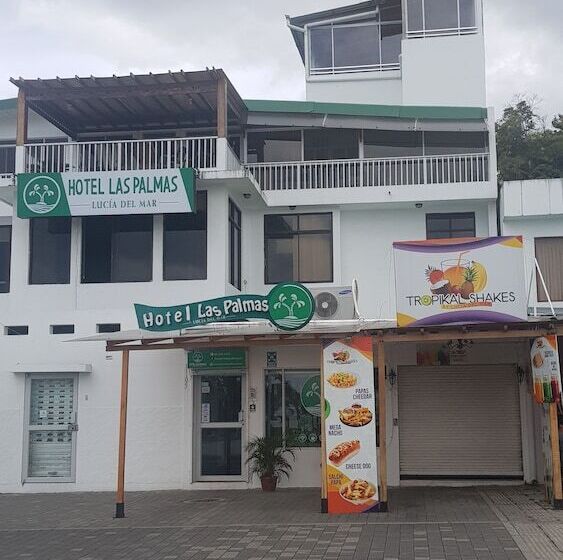 هاستل Las Palmas