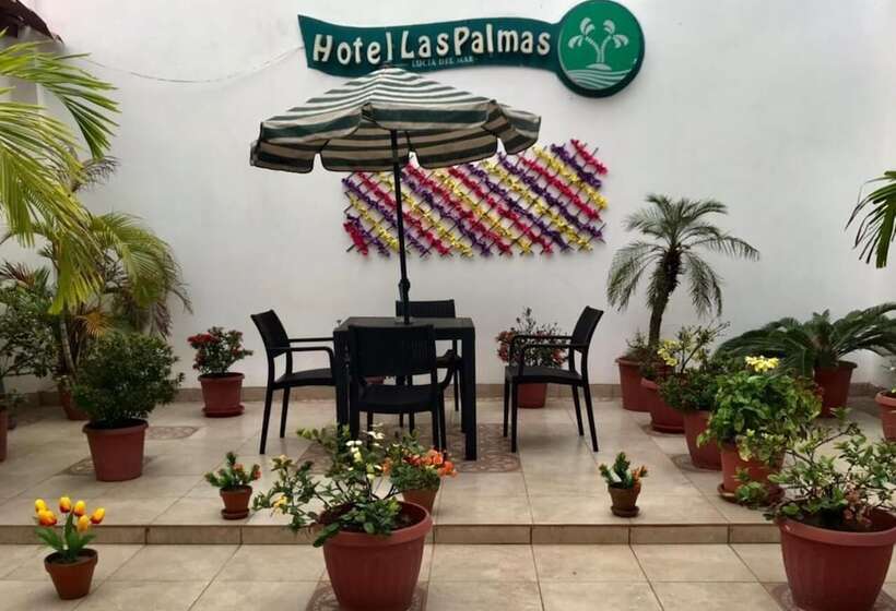 هاستل Las Palmas