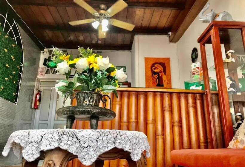 هاستل Las Palmas