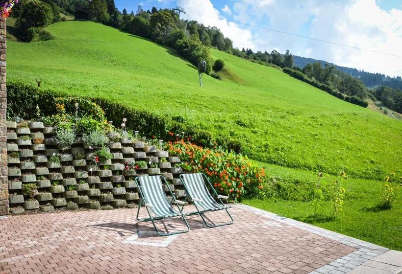 민박 Ferienhof Wölflbauer