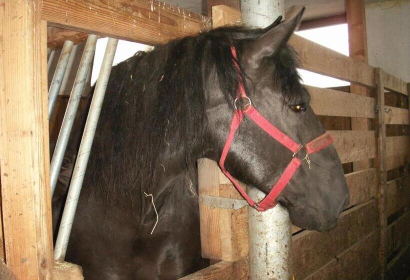 민박 Ferienhof Wölflbauer