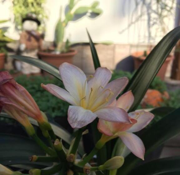 ホテル Fehérház Alkalmi Szálló