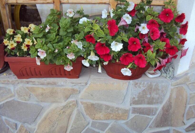 ペンション Amfora Guest House