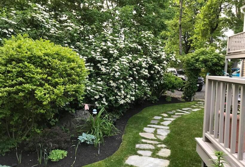 ペンション Dragonfly Guest House