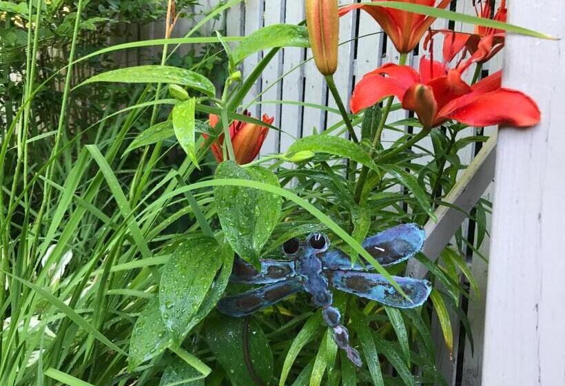 ペンション Dragonfly Guest House