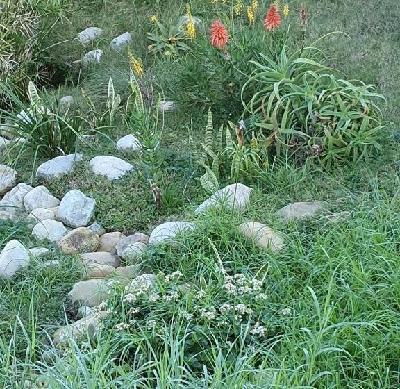 پانسیون Hillscapes Guesthouse