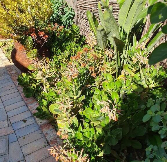 پانسیون Hillscapes Guesthouse