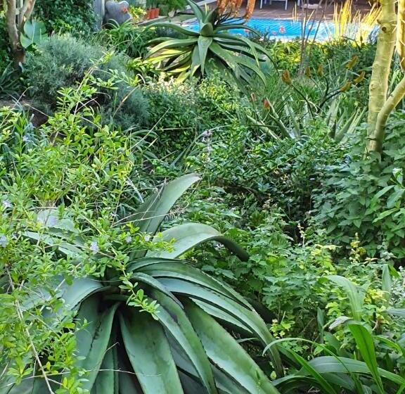 پانسیون Hillscapes Guesthouse