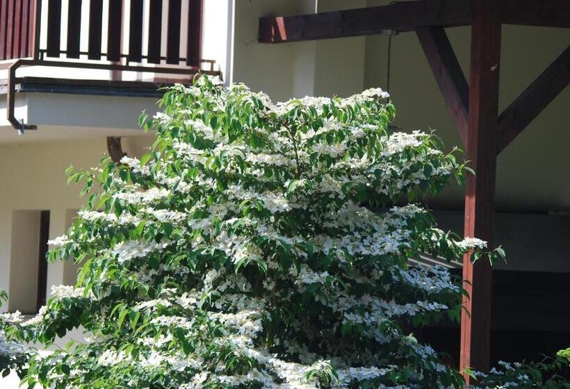 펜션 Ivanek Guest House