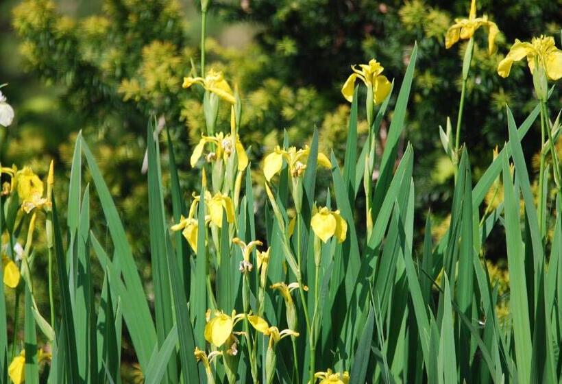 펜션 Ivanek Guest House