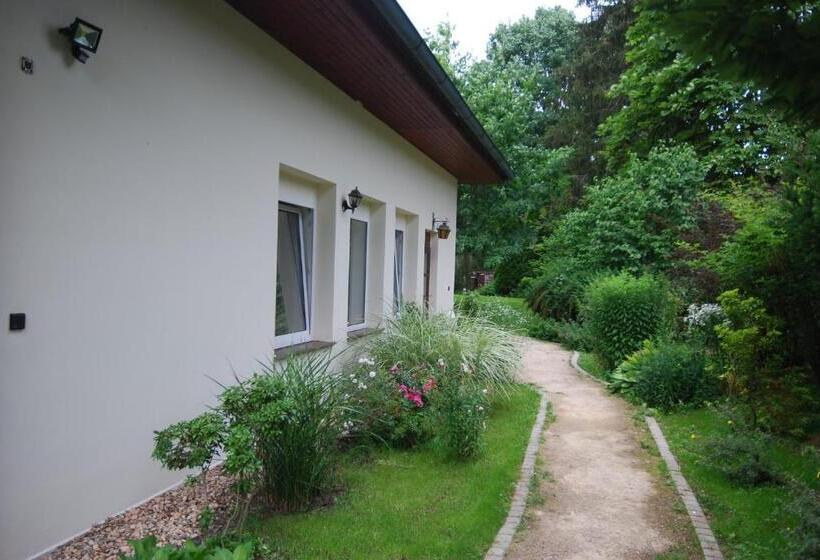 펜션 Ivanek Guest House