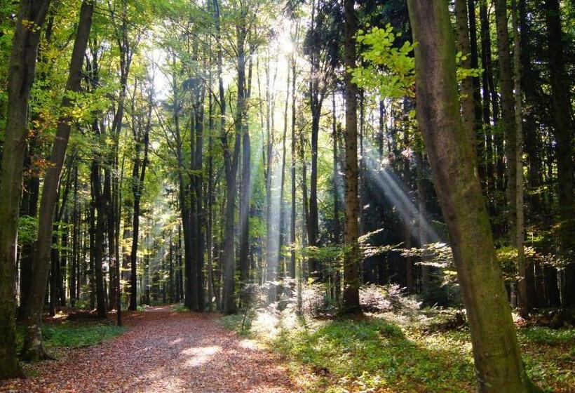 펜션 Landgasthof Hirschen