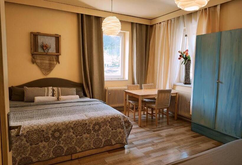 ペンション Penzion Přívoz