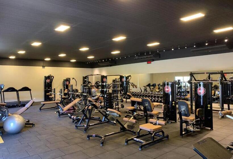 بنسيون Pousada Haras Santa Rita