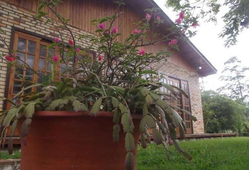 بنسيون Pousada Vó Liane