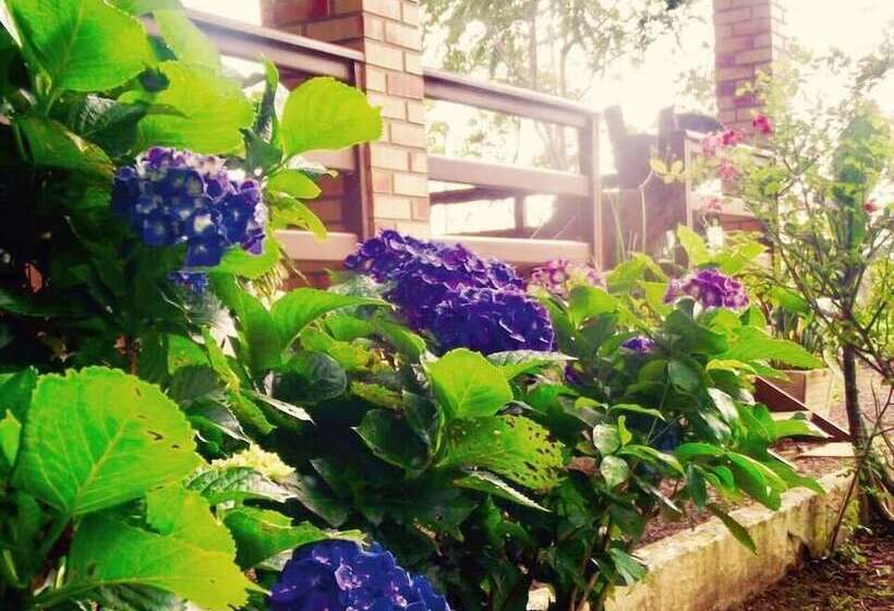 بنسيون Pousada Vó Liane