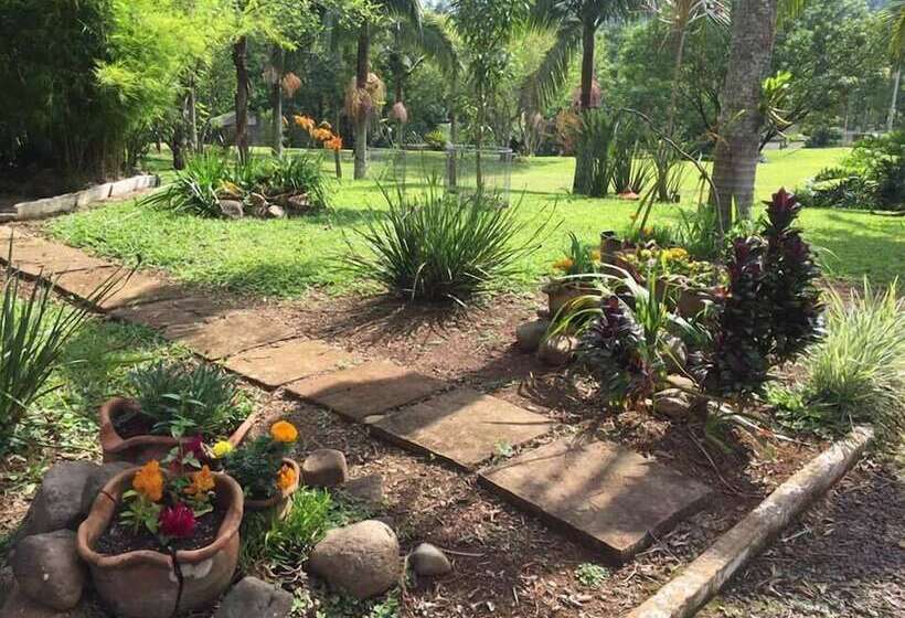 بنسيون Pousada Vó Liane