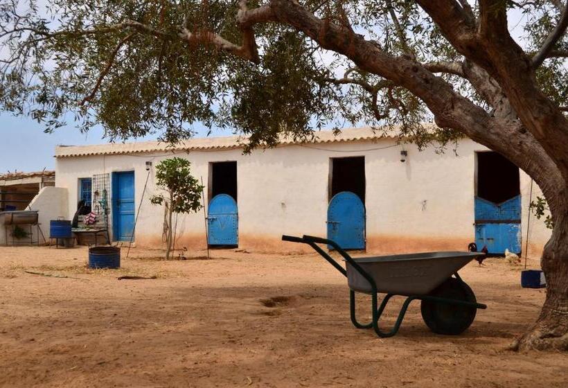 پانسیون Ranch Tanit Djerba