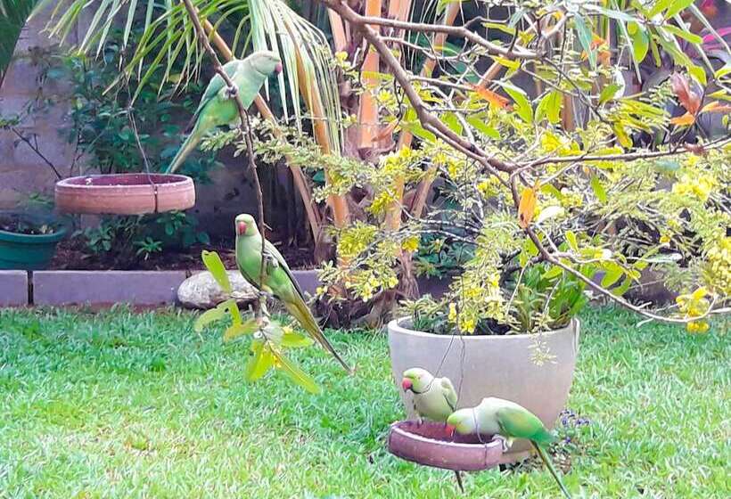 بنسيون Villa Olga