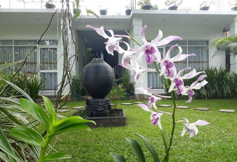 بنسيون Villa Olga