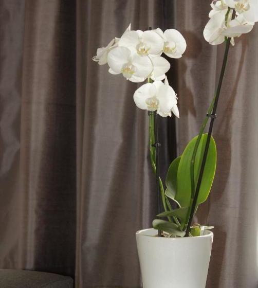 旅馆 Helmin Kortteeri