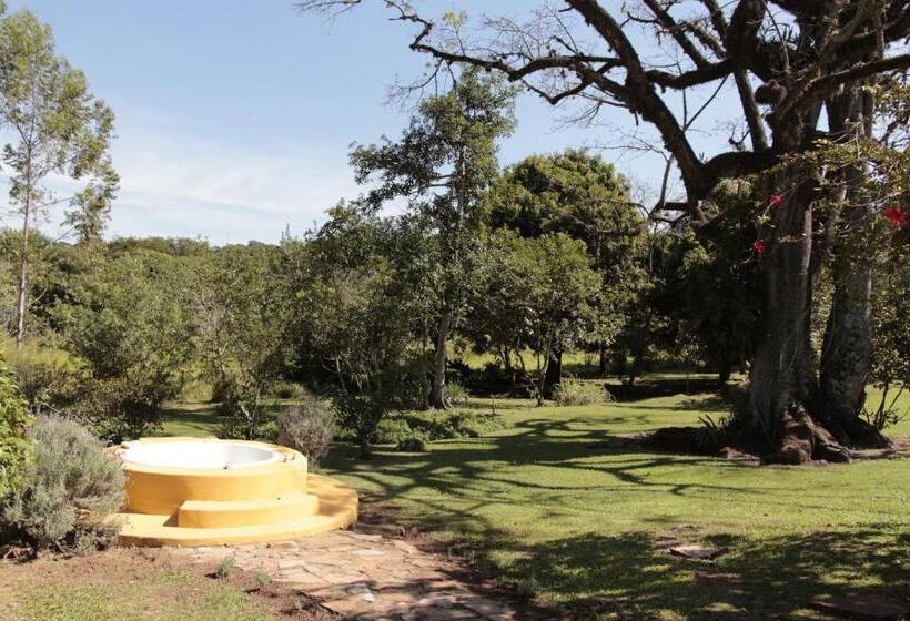 הוסטל Hospedagem Fazenda Nova América