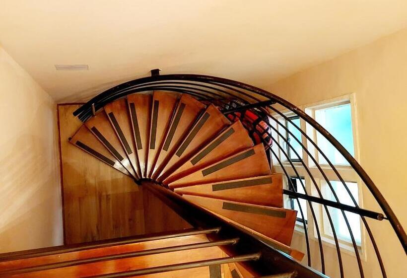 بنسيون Adorable Designs