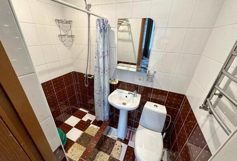 پانسیون Magnolia Truskavets