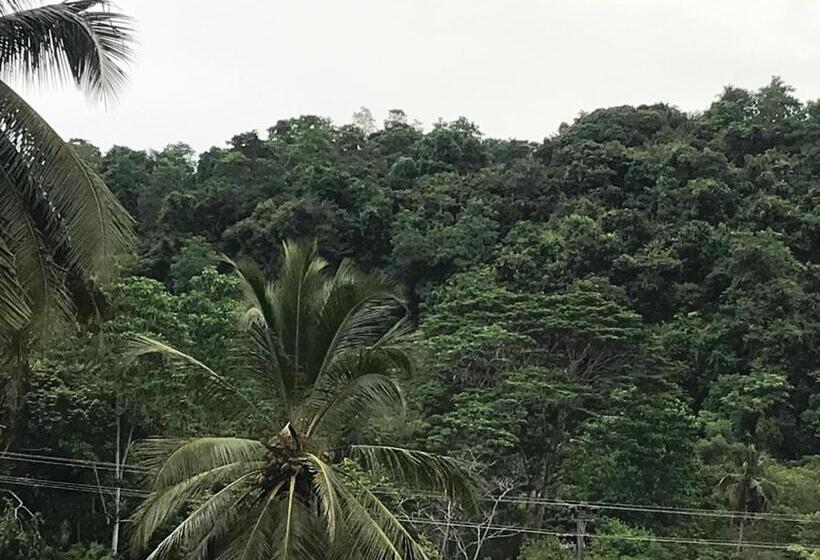 بنسيون Meritha