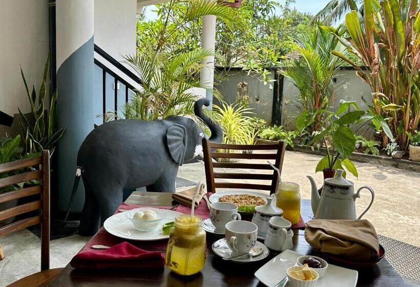 بنسيون Meritha