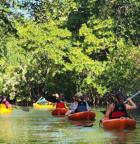 Пансион Pousada Vila Cajuina Luis Correia