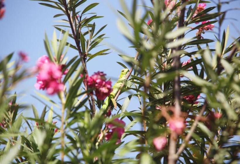 Пансион Pousada Vila Cajuina Luis Correia