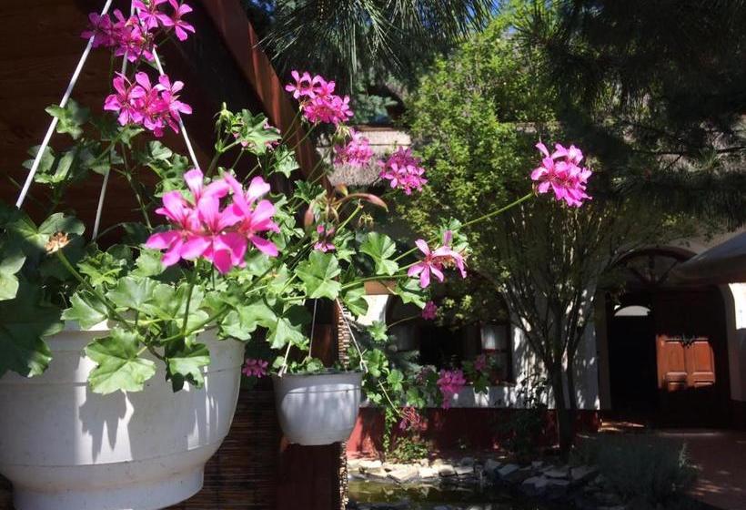 Пансион öregház 1839