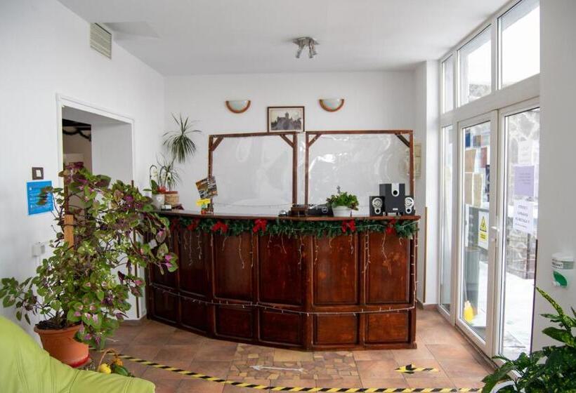 بنسيون Vila Alisa