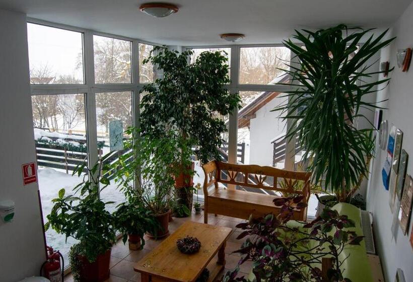 ペンション Vila Alisa