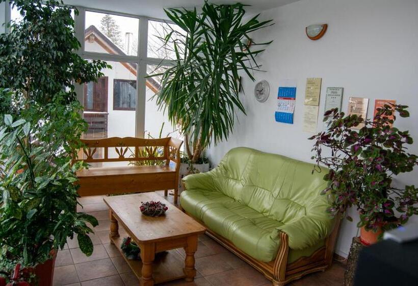 بنسيون Vila Alisa