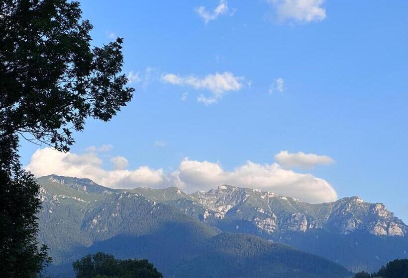 Пансион Vila Alisa