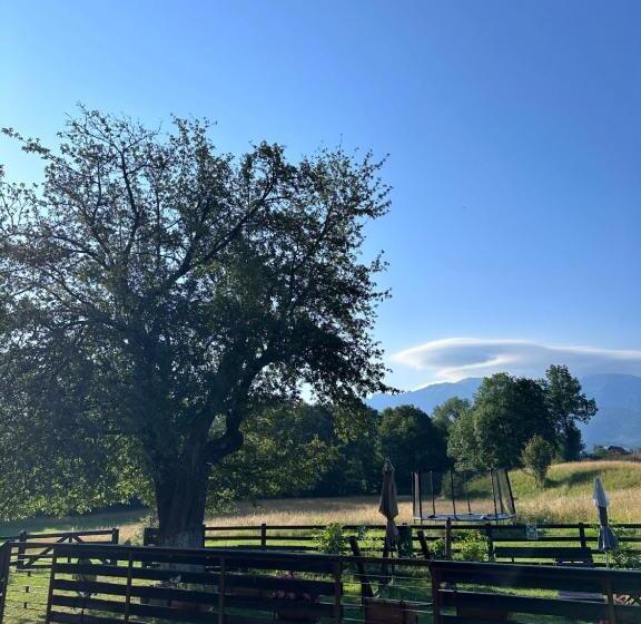 بنسيون Vila Alisa