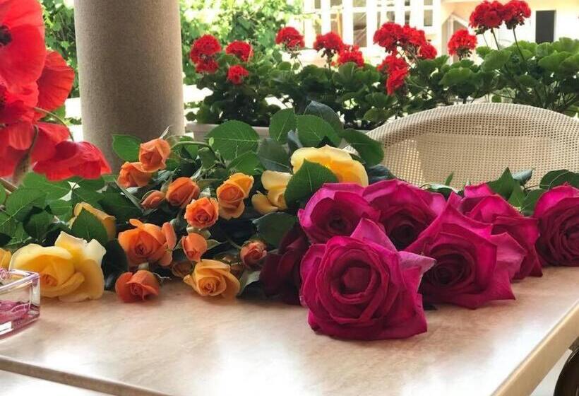 膳宿费 Villa Brussels