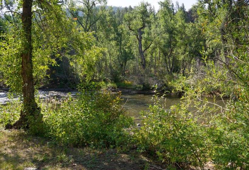 فندق صغير Four Seasons Lodge