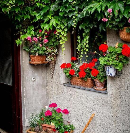 ユースホステル Gasthof Mandorfer