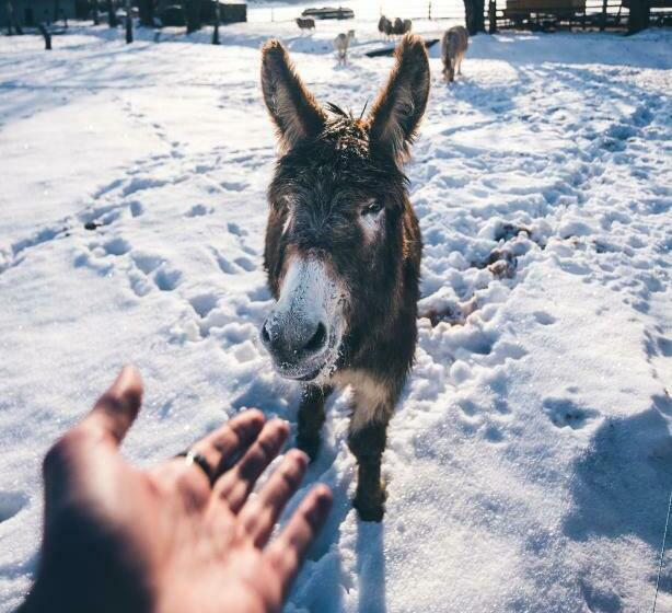 Aparthotel & Wellness Knížecí Cesta