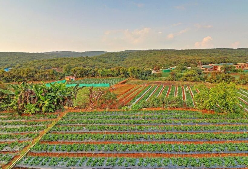 酒店 Treebo Berry Hill Venna Lake, 3 Km From City Center